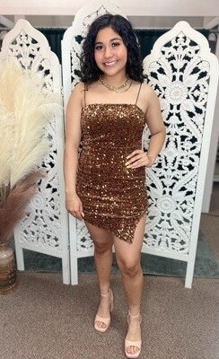 Brown Sparkle Sequin Dress